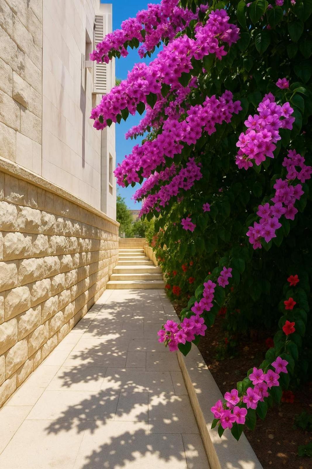 Apartments Villa Mirjana 布德瓦 外观 照片