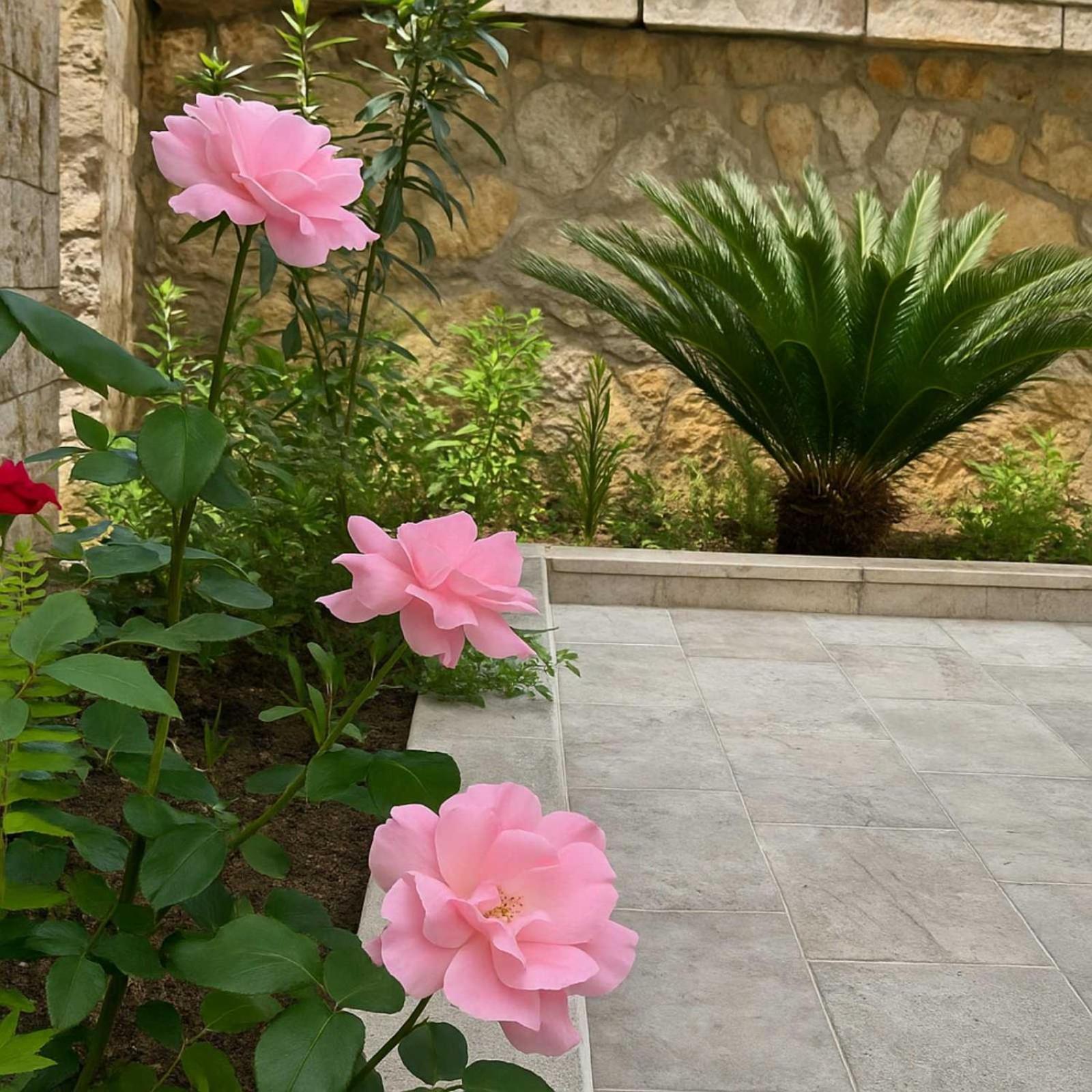 Apartments Villa Mirjana 布德瓦 外观 照片